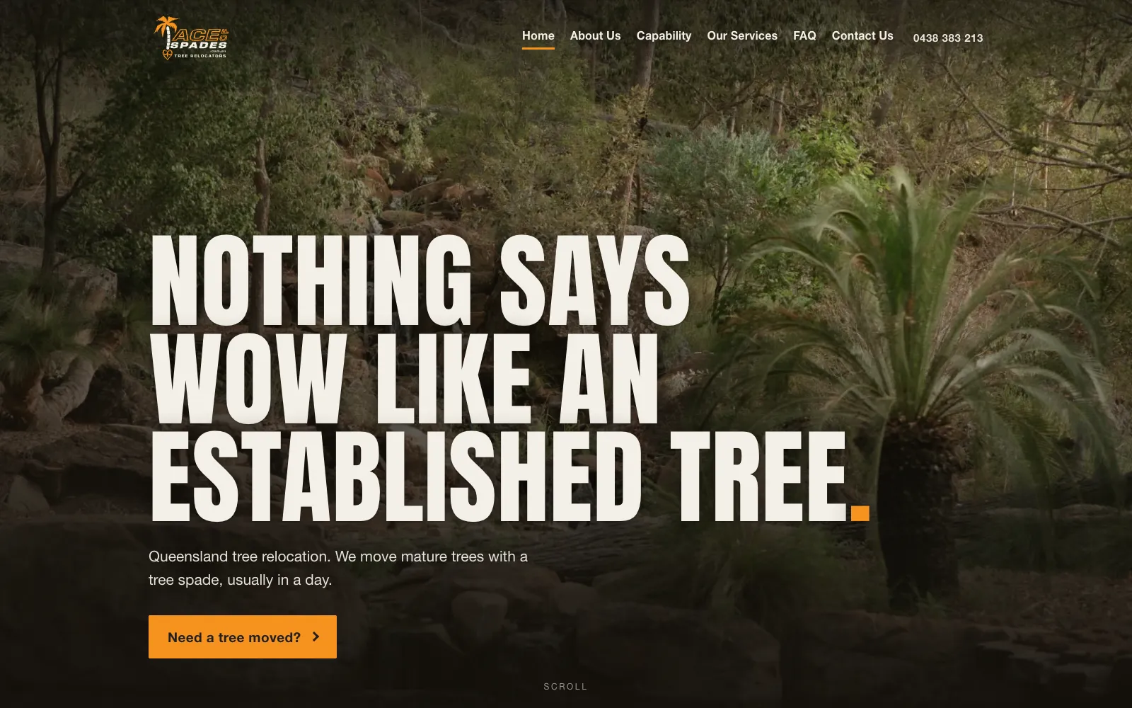 Ace of Spades Tree Relocators website